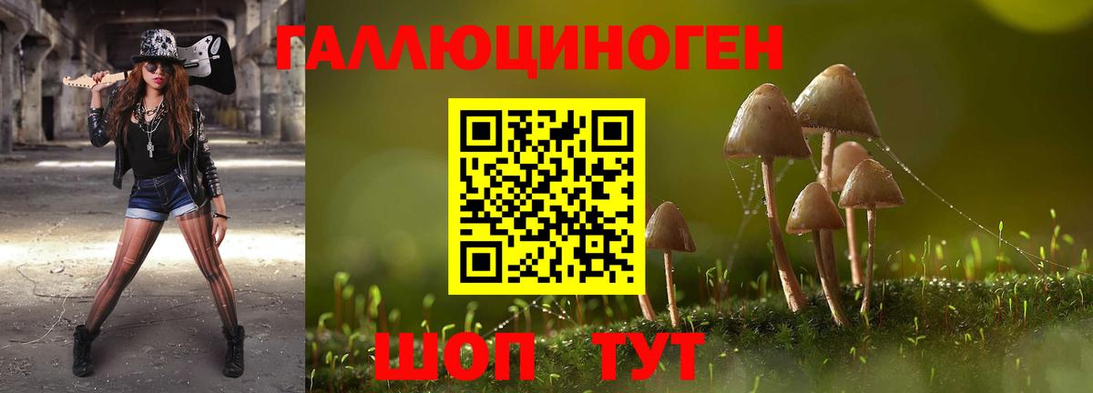 Псилоцибиновые грибы GOLDEN TEACHER  Вход с VPN  Великие Луки 